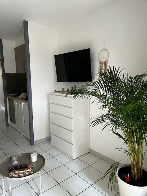 Appartement "Chez Mag Et Jo" Moliets-et-Maa Dış mekan fotoğraf